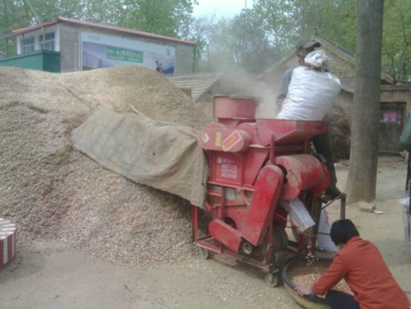 榨油機(jī)用戶訪問：鄉(xiāng)鎮(zhèn)之間榨油坊生意如何？