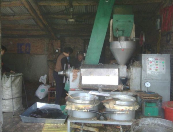 榨油機(jī)用戶訪問：鄉(xiāng)鎮(zhèn)之間榨油坊生意如何？